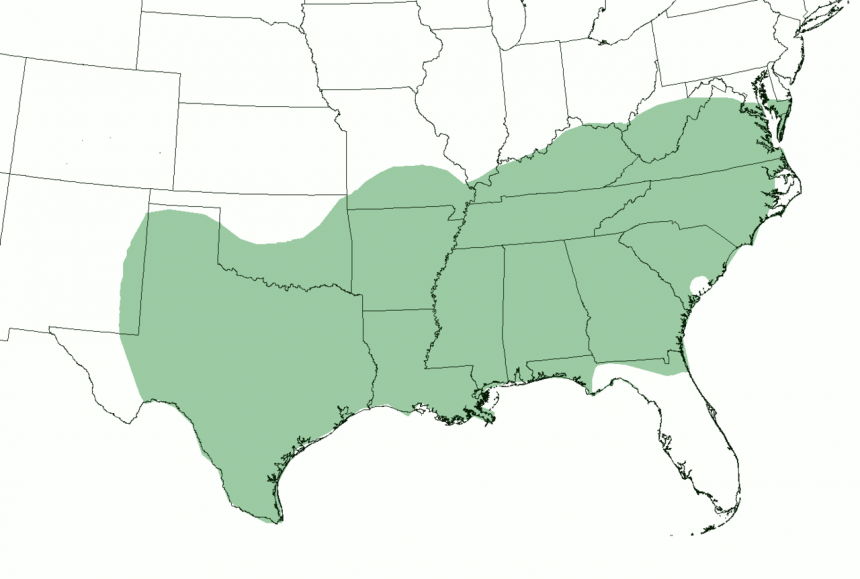 map of southern US English